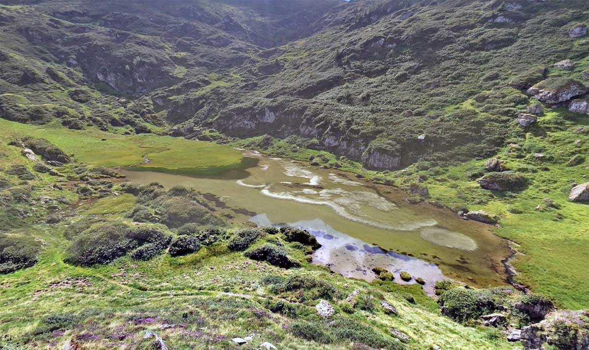 Etang de Bellonguère