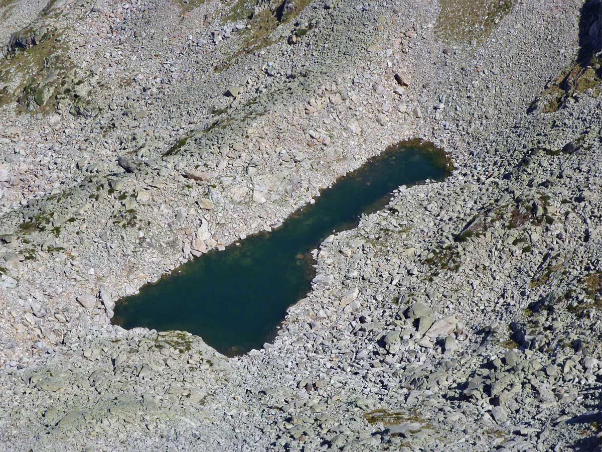 Etang de la Coumette - @ Olivier Cavaillé