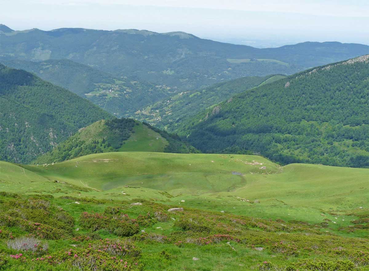 Mouillère du Louch - @ Olivier Llopis Mouillère du Louch antiguo lago de Urduas