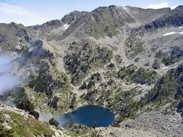 Etang d'Auriol