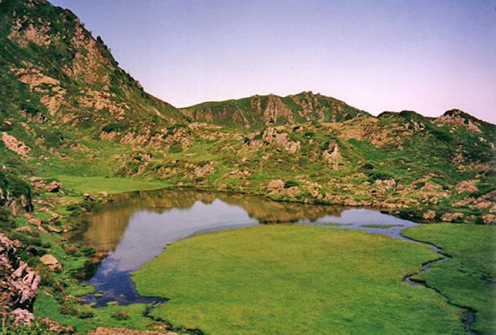 Etang de Bellonguère