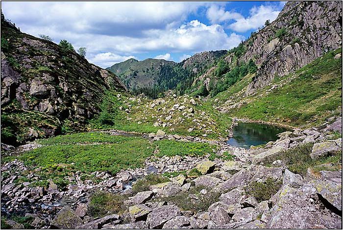 Etang de Cabanas