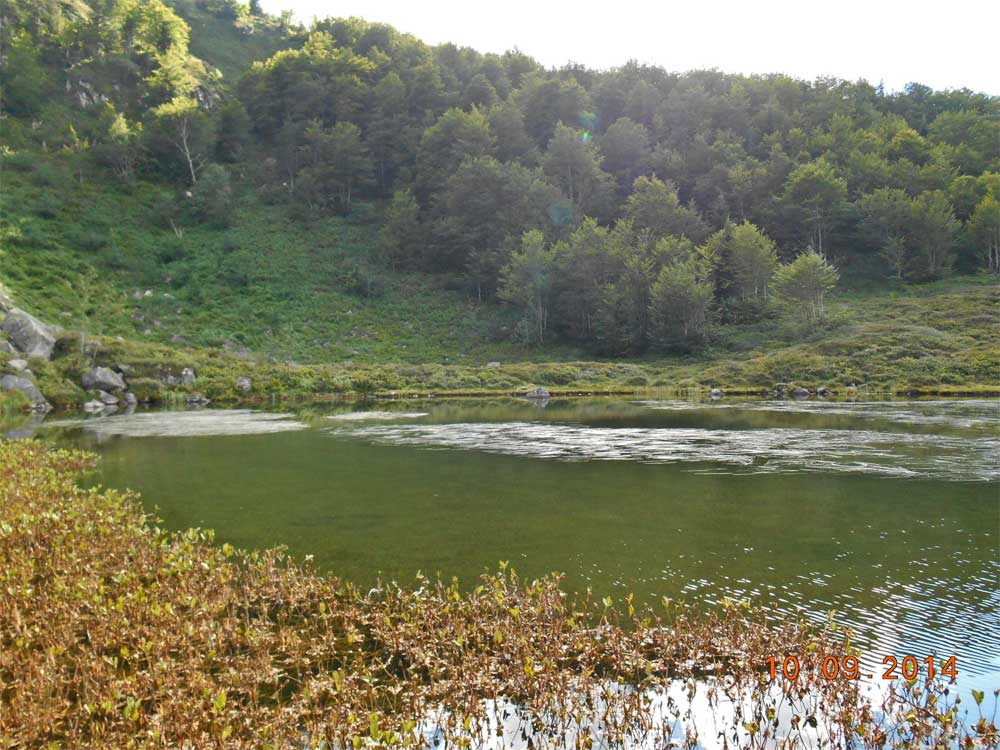 Etang de Labant