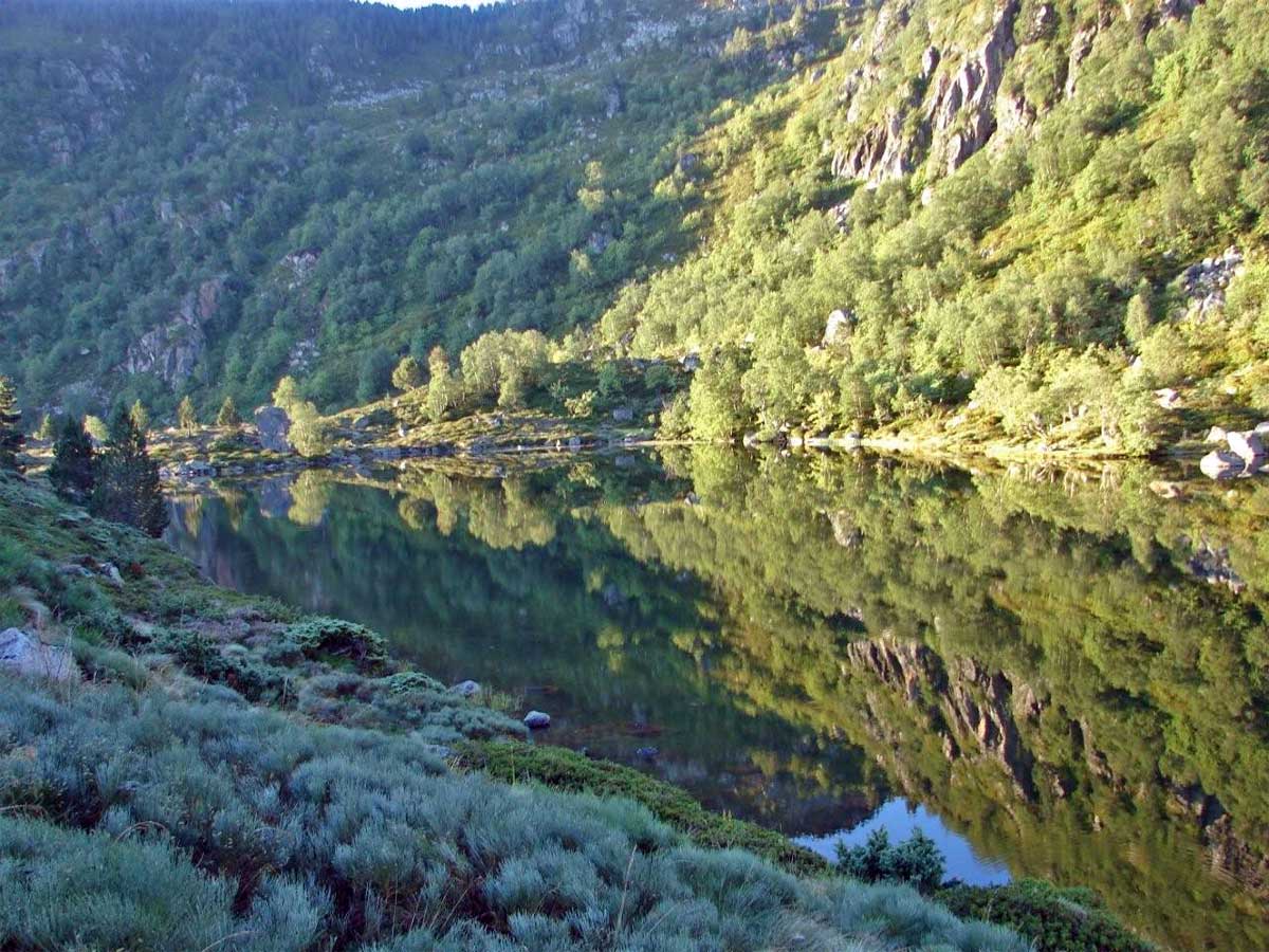Etang de Larnoum - @ David et Thibaud Etang de Larnoum