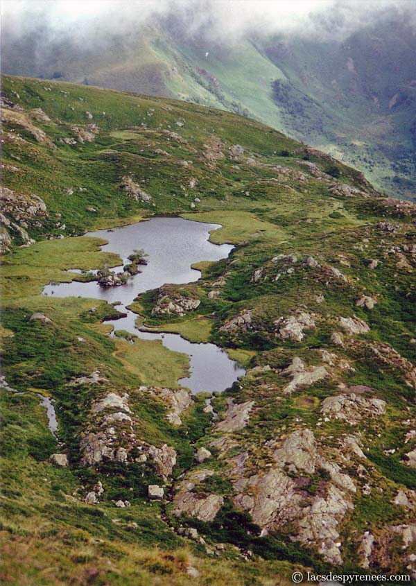 Etang des Rives