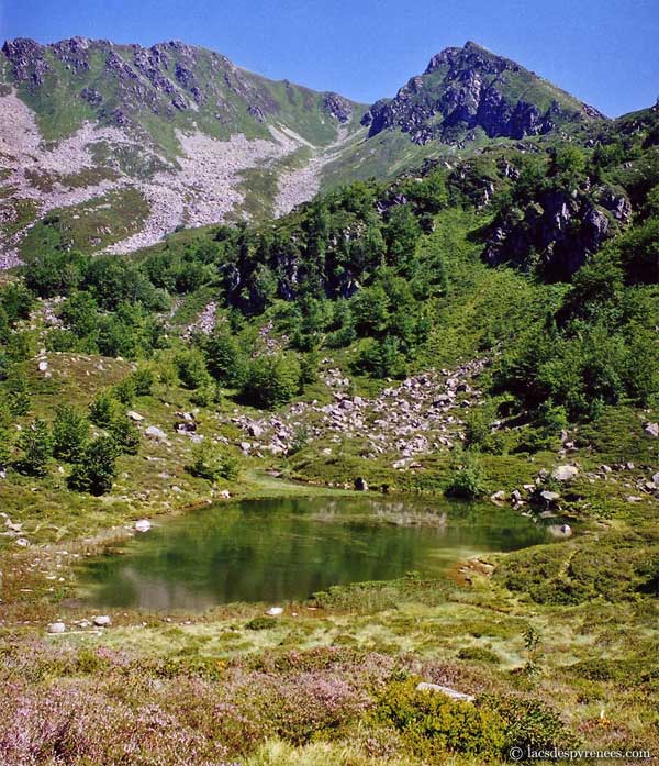 Etang de Labant