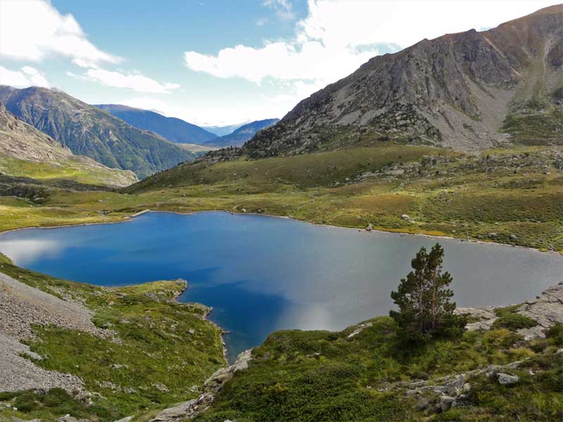 Etang de Pédourrés