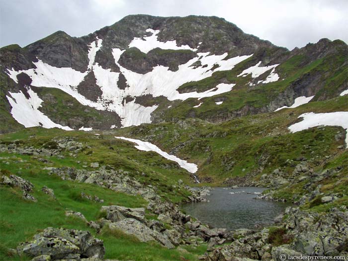 Etangs de la Montagnette