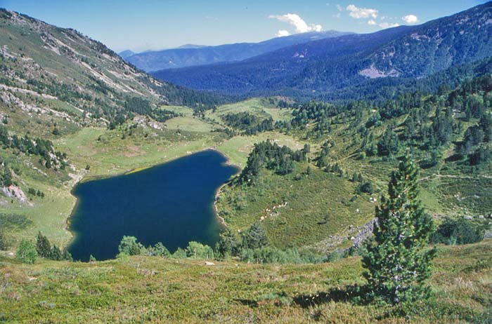 Etang de Rabassoles bas