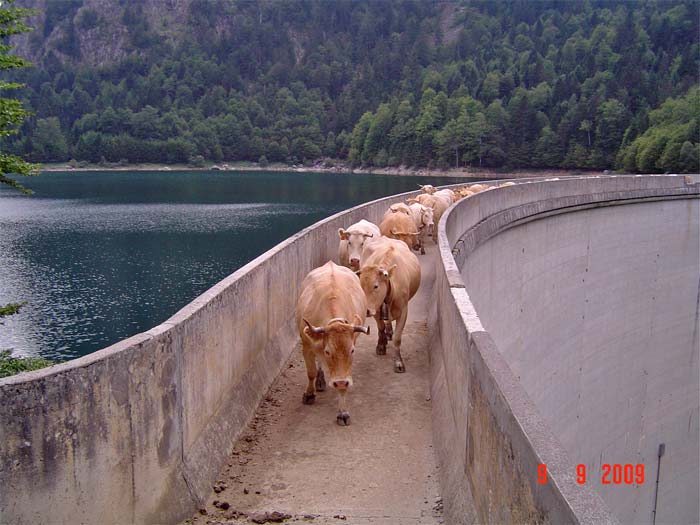 Barrage de Bious-Artigues