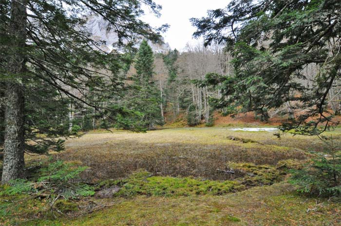 Lac d'Ourbiette