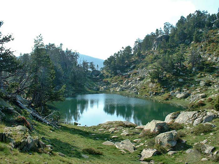 Laquet des Guits - @ Thierry81 Laquet des Guits