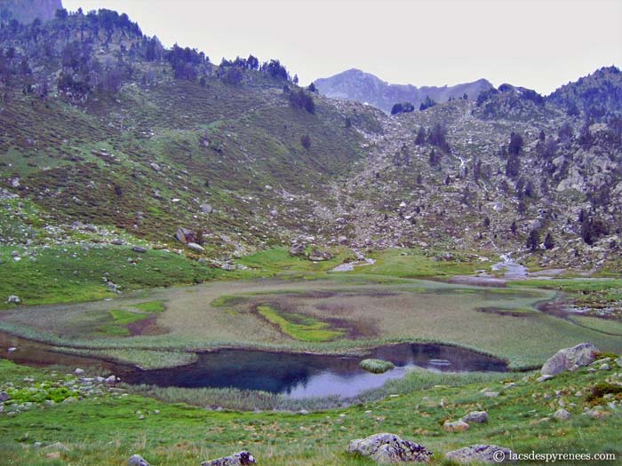 Laquet de Coste Oueillère