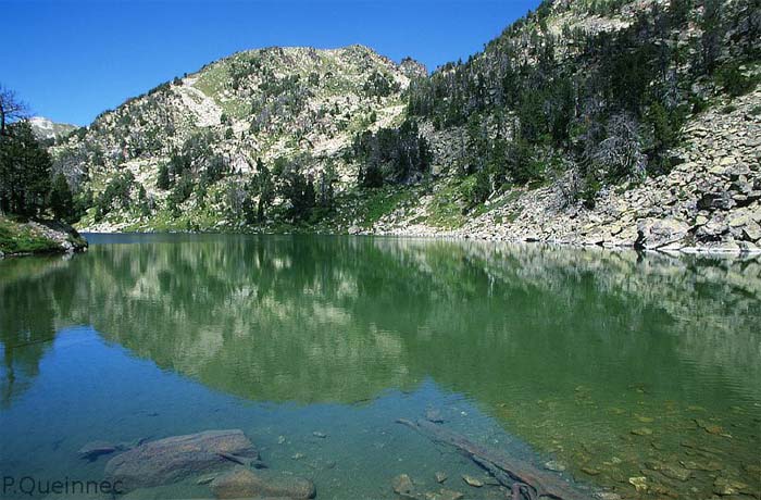 Lac de l'Ours - @ Philippe Queinnec Lac de l'Ours
