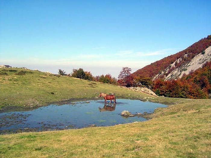 Lac d'Arriste