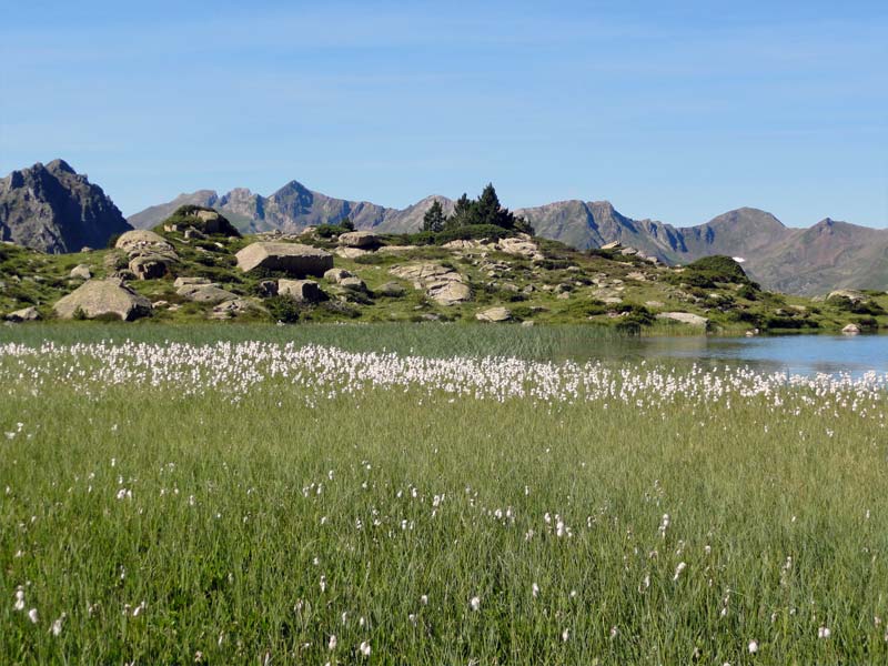 Lac de Dera Yunco