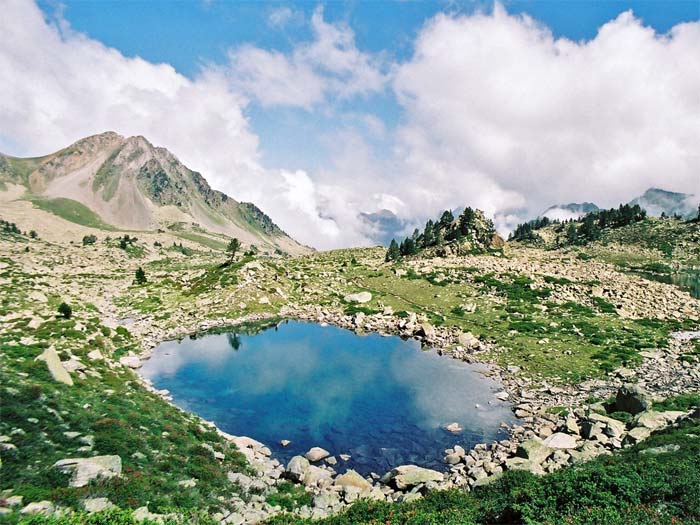 Laquet du lac noir