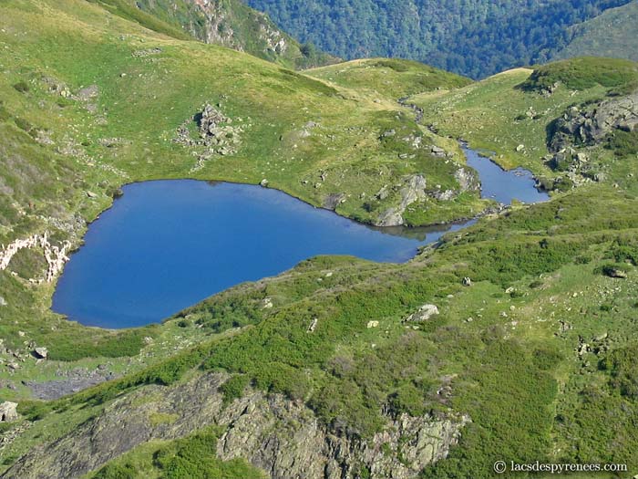 Lac d'Ousse - @ Monge Philippe Un petit lac que les troupeaux de moutons semblent...
