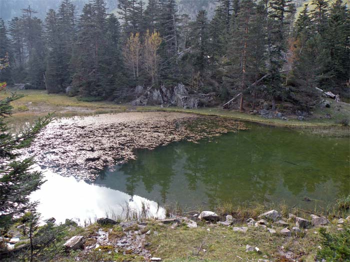 Lac du Paradis