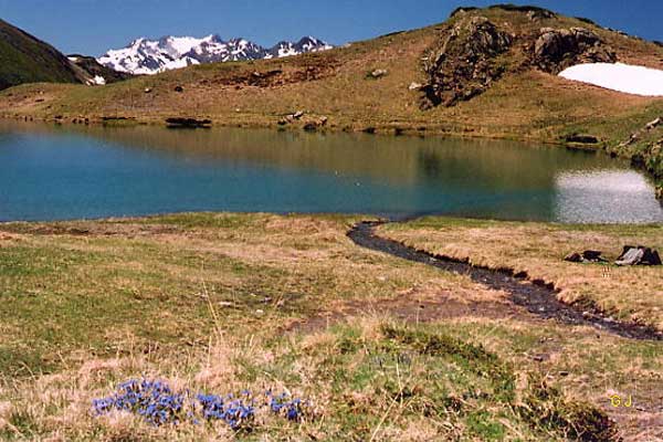 Lac de Bassia - @ Gérard Jouvin Lac de Bassia