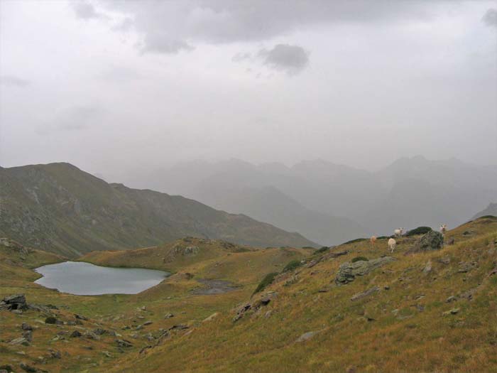 Lac de Bassia - @ Ivo Vanmontfort Lac de Bassia