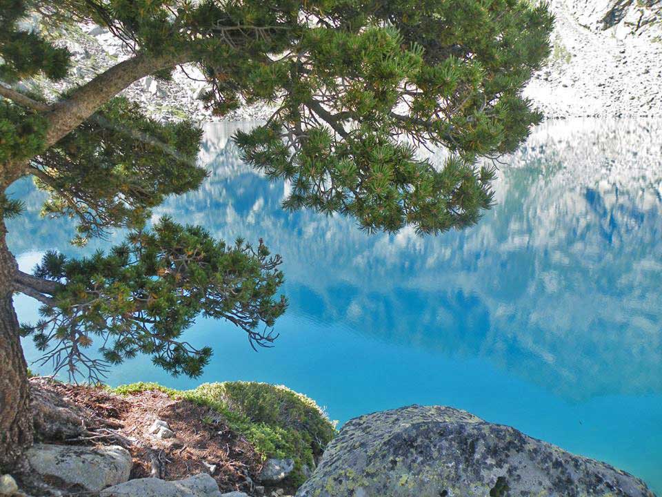 Lac Noir de Cestrède