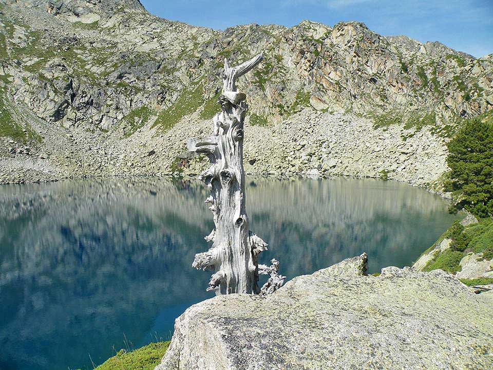 Lac Noir de Cestrède