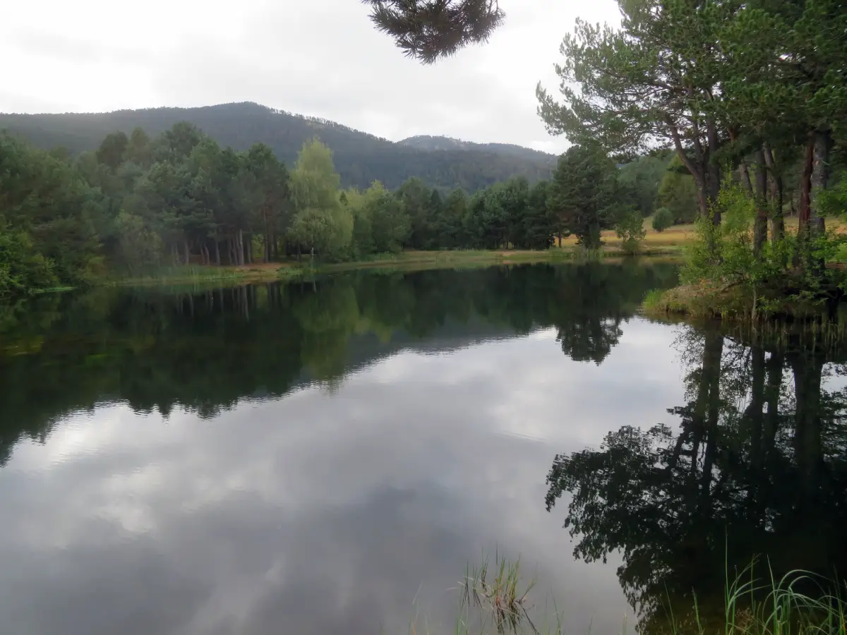 Estany de l'Oliva