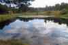 Estany de l'Oliva
