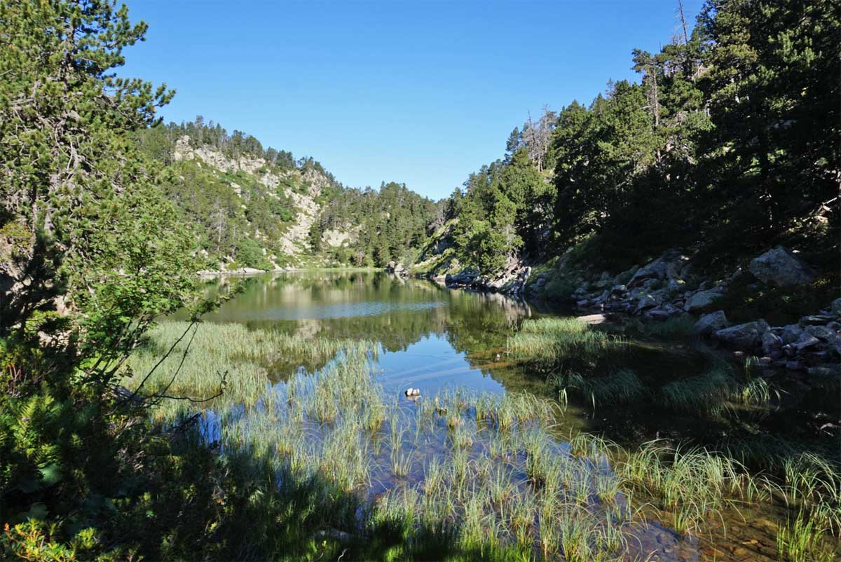 Estany de la Balmeta