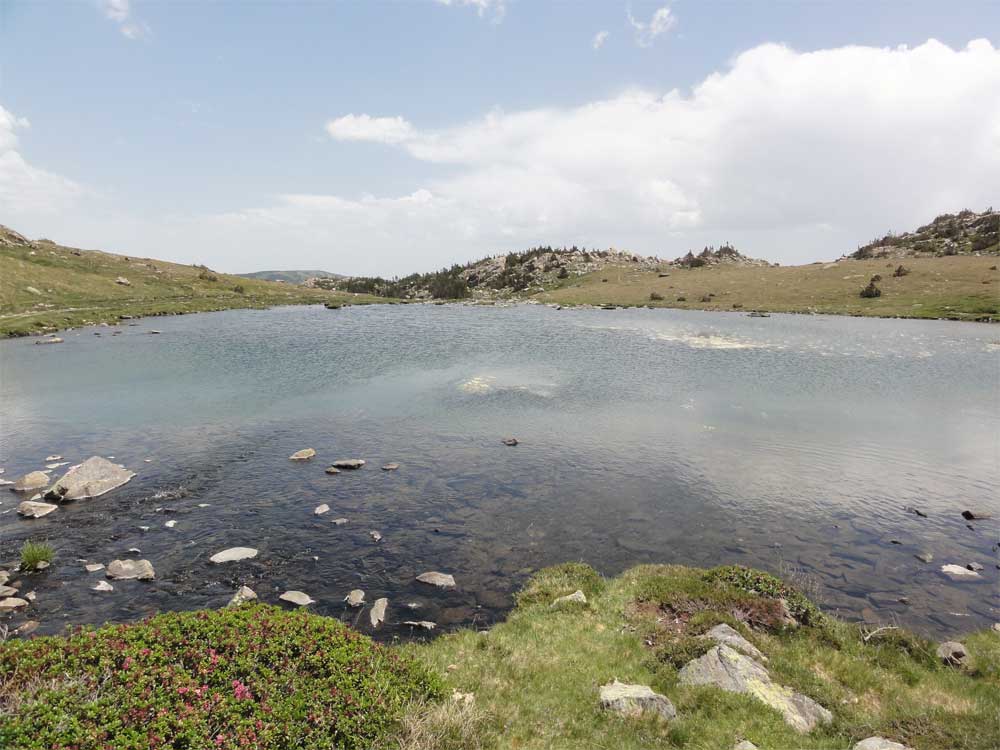 Estany de Trebens