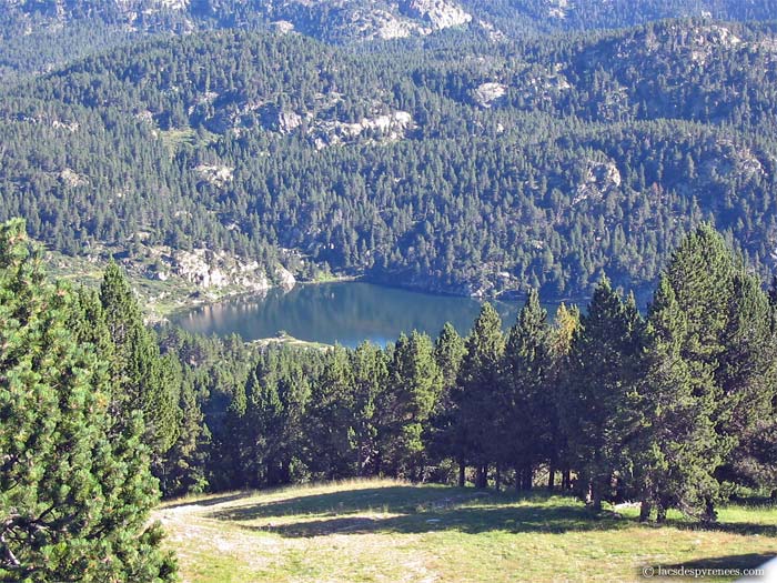 Estany de la Pradella