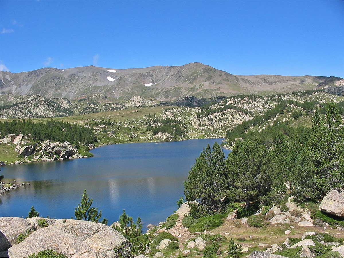 Estany de la Comassa