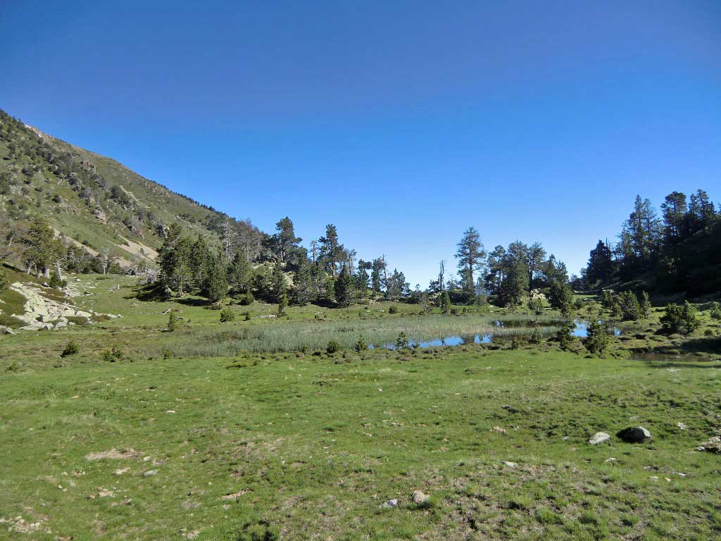 Estany de Planès