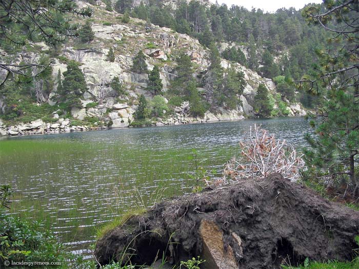 Estany Llarg ou Long d'en Bas