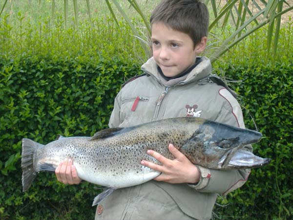 Fario Maxime