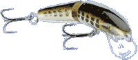 RAPALA JOINTED