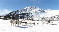 Ballade chiens de traineau - Ariège