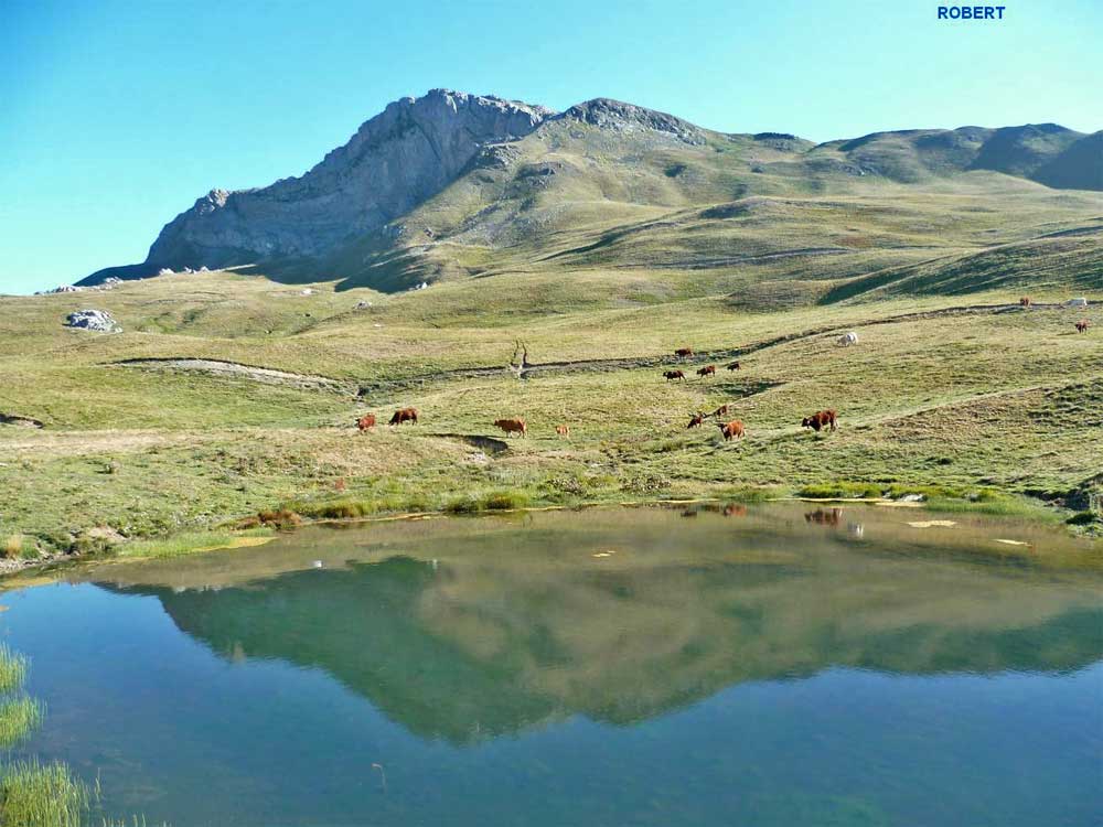 Ibonet Fuentes del Gállego