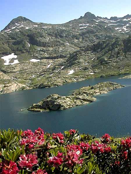 Embalse Bachimaña alto