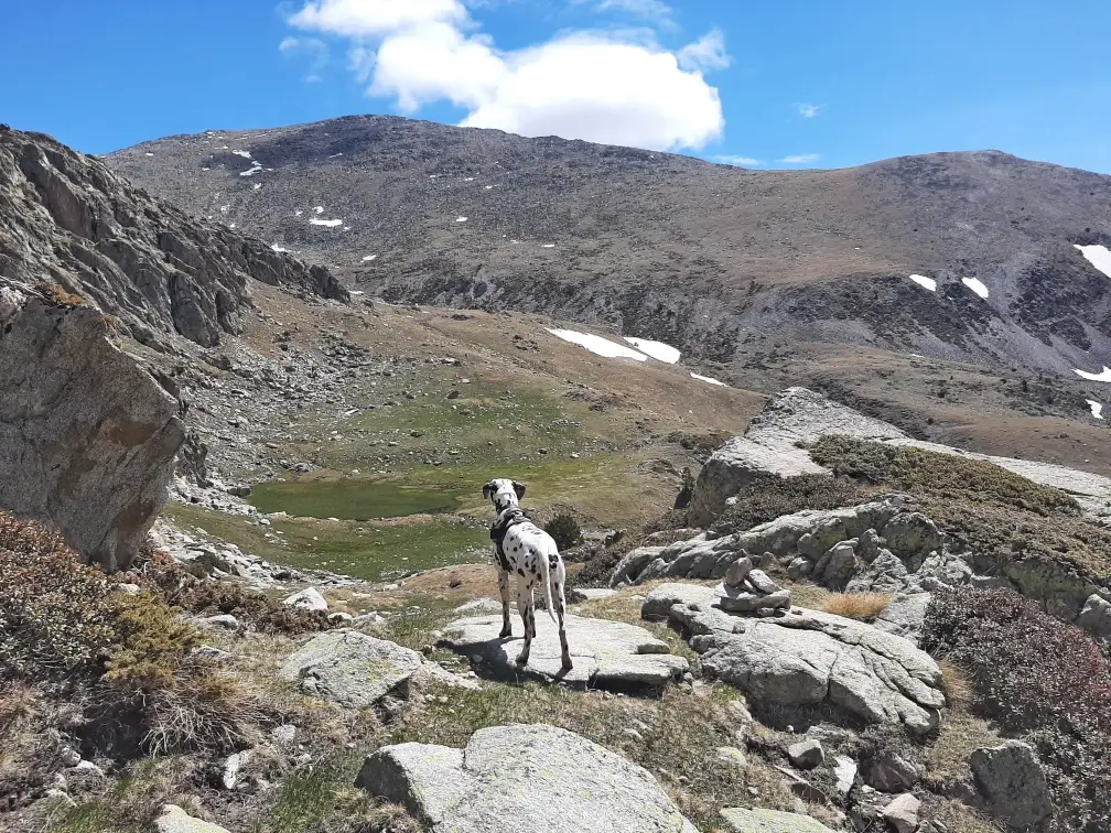 La Bassa - Cirque des Engorgs 