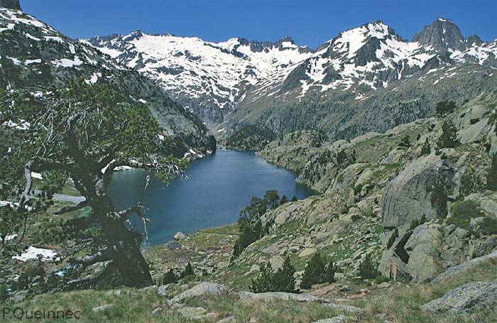 Estany Negre