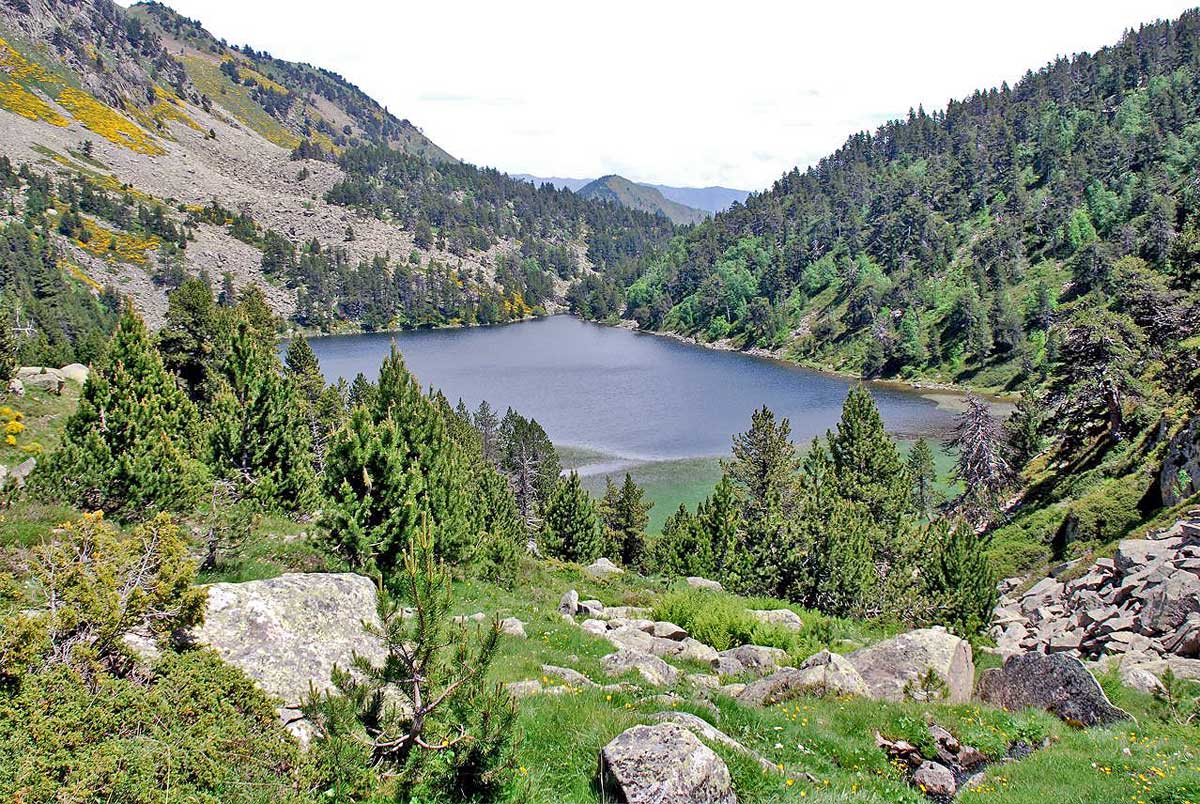 Estany de Rosari d'Àrreu - @ JM Gil-Vernet Estany de Rosari d'Àrreu