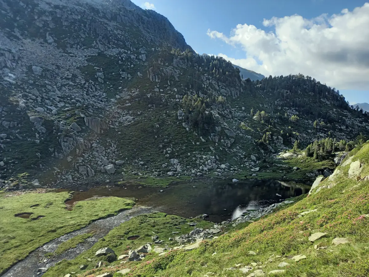 Aiguamoll de Guiló