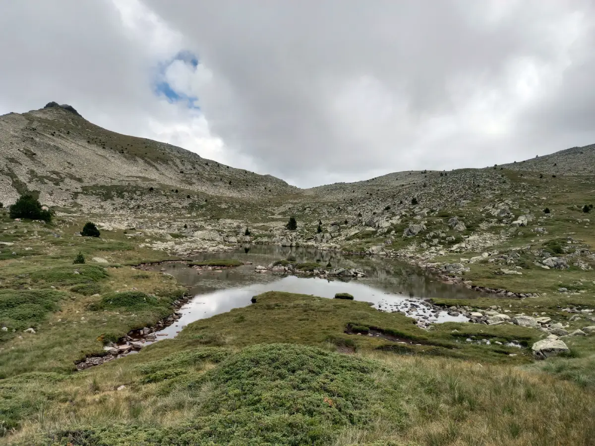 Estanhons de Naut de Marimanha
